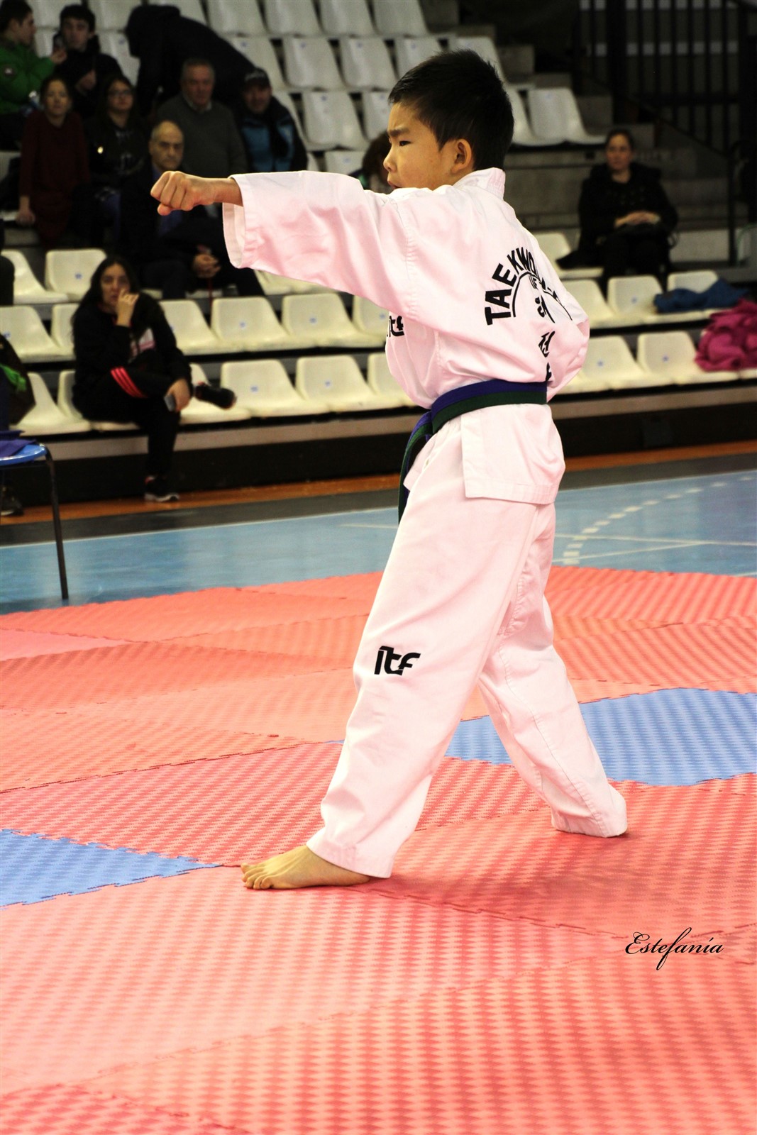 Taekwondo (91).jpg